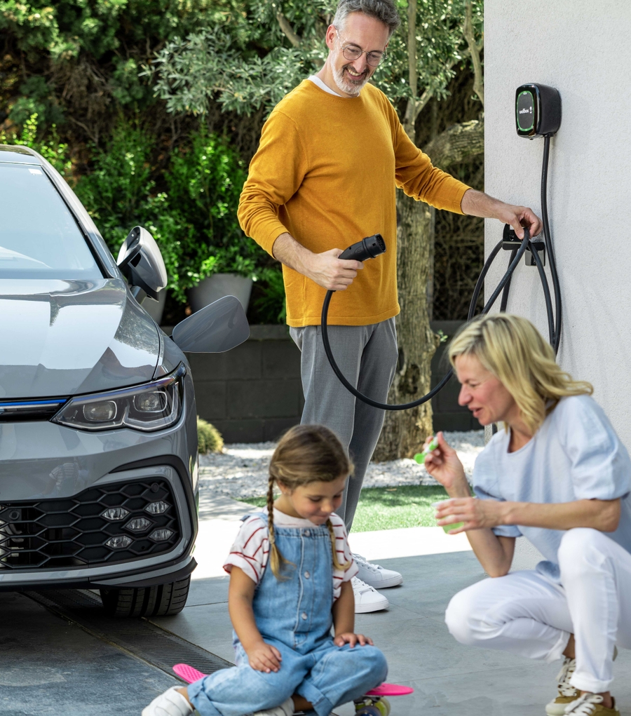 The different types of EVs